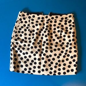 JCrew Polka Dot Skirt